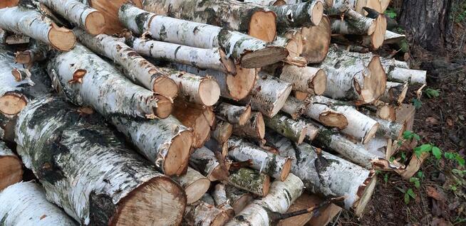 Drewno kominkowe, opałowe.opał z transportem