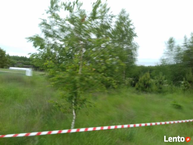 MAKOW MAZOWIECKI BUDOWLANA