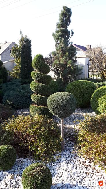 Zakładanie Ogrodów Ostrów Mazowiecka www.dangarden.eu