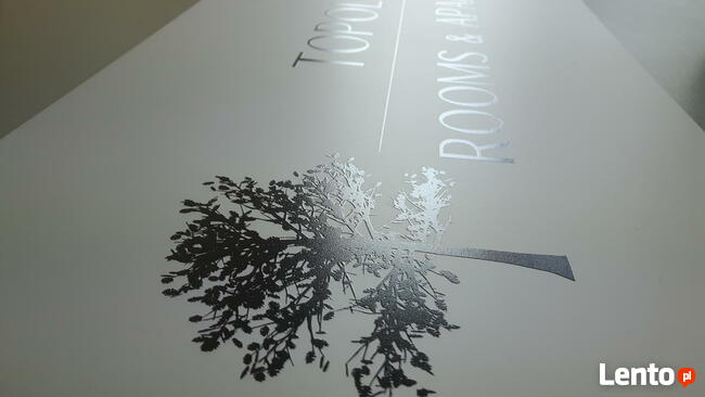 Nadruk UV płyta pcv dibond plexi pleksa stadur hips