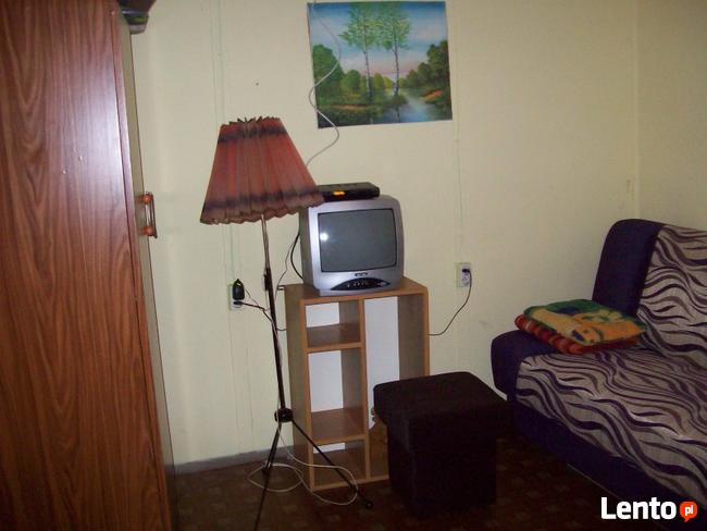 Domek W Zaniemyślu tanio wynajmę