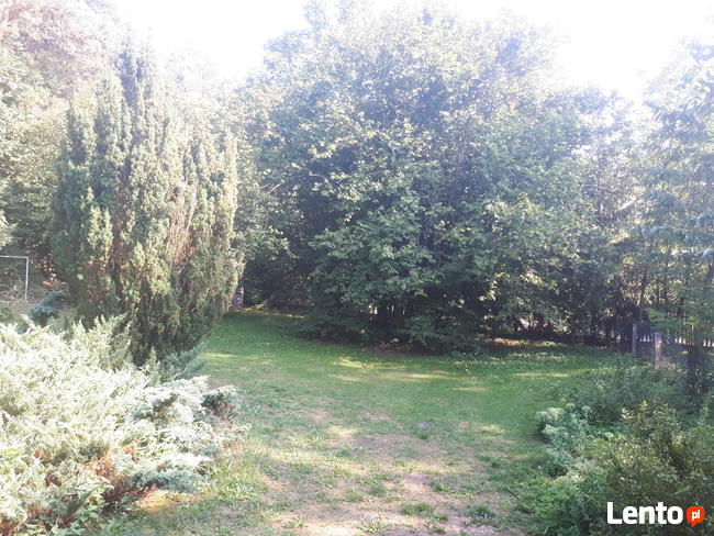 Wynajmę dom letniskowy na wsi