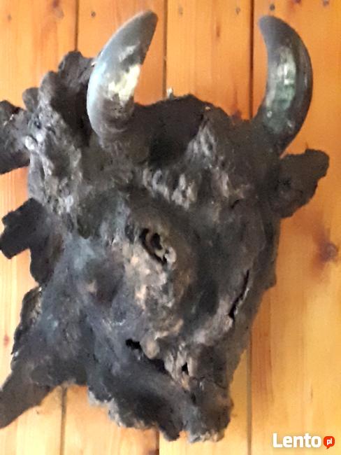 Wynajmę dom letniskowy na wsi