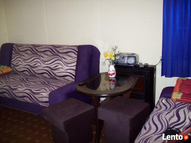 Domek W Zaniemyślu tanio wynajmę