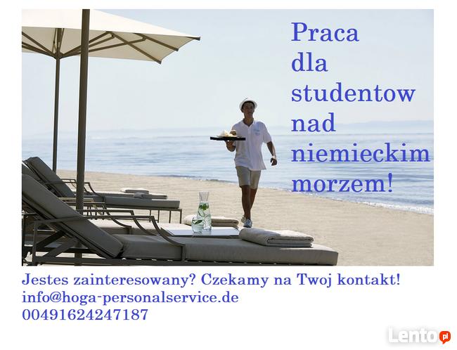 Praca dla studentow