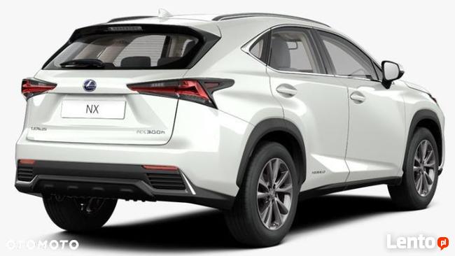 Lexus NX Business Edition / Różne kolory / 4x4 / LED / NAVI