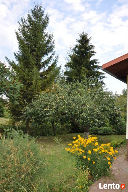 Agroturystyka pokoje do wynajęcia Mazury