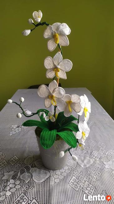 Storczyk na szydełku