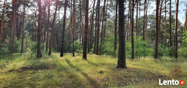 Działka rekreacyjna nad rzeką 80 km od Warszawy