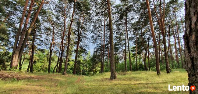 Działka rekreacyjna nad rzeką 80 km od Warszawy