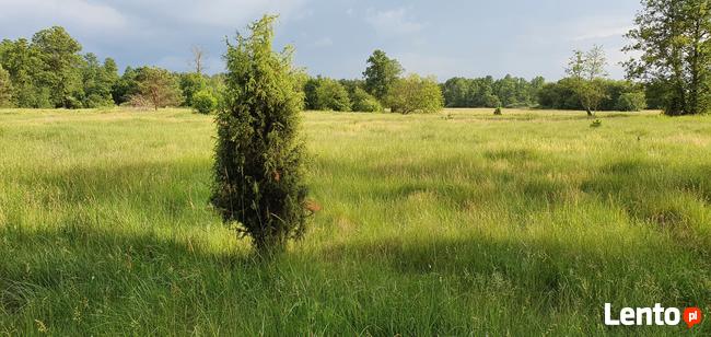 Działka rekreacyjna nad rzeką 80 km od Warszawy