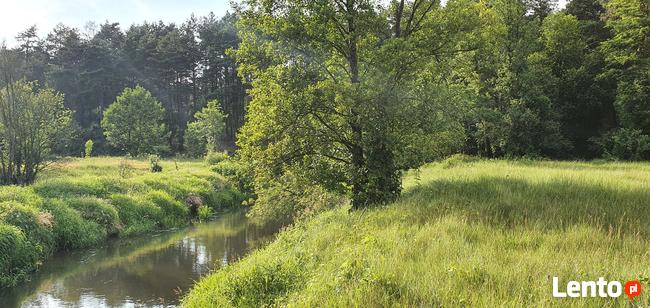 Działka rekreacyjna nad rzeką 80 km od Warszawy
