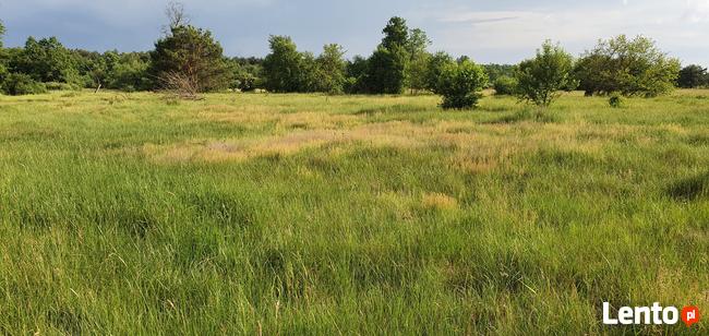 Działka rekreacyjna nad rzeką 80 km od Warszawy