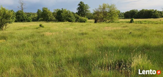 Działka rekreacyjna nad rzeką 80 km od Warszawy