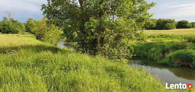 Działka rekreacyjna nad rzeką 80 km od Warszawy