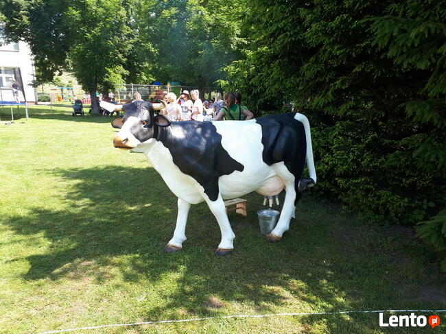 dmuchańce, zjeżdżalnia