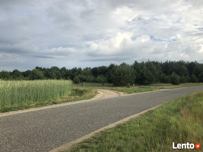 Kolankowo Prądocin - działka rezydencja ze ścianą lasu