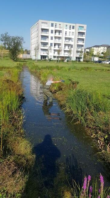 Wycinka i przycinka drzew i krzewów, koszenie, porządkowanie