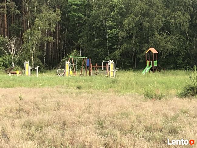 Kolankowo Prądocin - działka rezydencja ze ścianą lasu