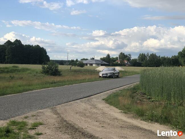 Kolankowo Prądocin - działka rezydencja ze ścianą lasu