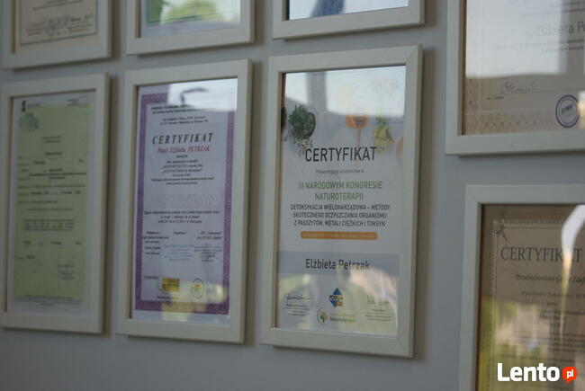 Plazmoterapia, borelioza- ALEBIO BIOREZONANS, TERAPIE, ZIOŁA