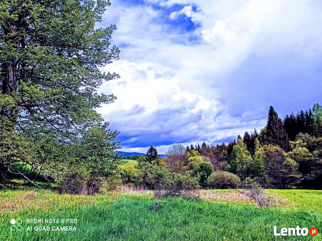 Sprzedam ładną dużą działkę w górach Sudetach