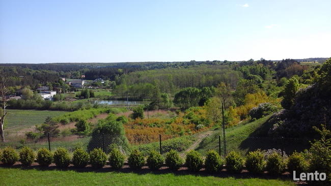 Do wynajęcia Działka Usługowo- Inwestycyjna w Tryszczynie