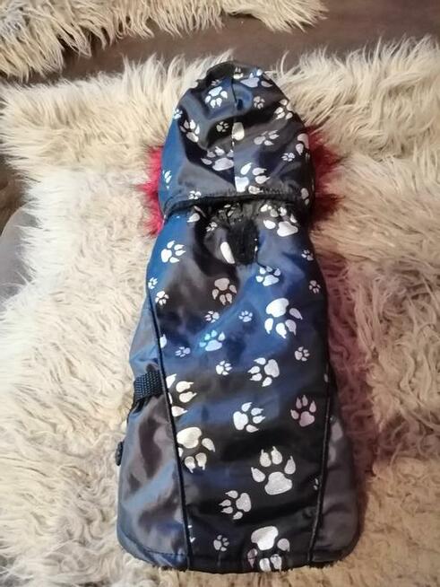 Sp kurteczkę dla szczeniaka