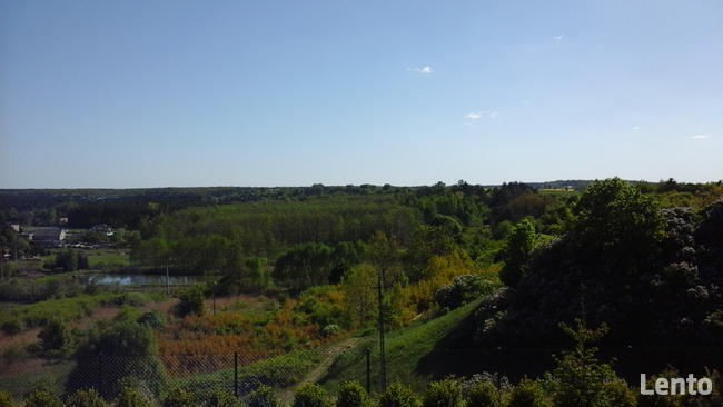 Do wynajęcia Działka Usługowo- Inwestycyjna w Tryszczynie