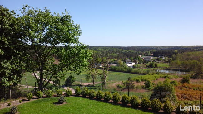 Do wynajęcia Działka Usługowo- Inwestycyjna w Tryszczynie