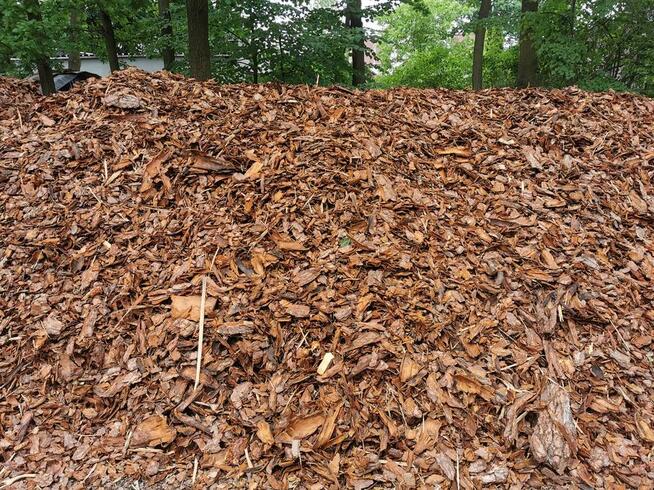 Prace ziemne, wykopy, wyrywanie karp, rozbiórki, niwelacje