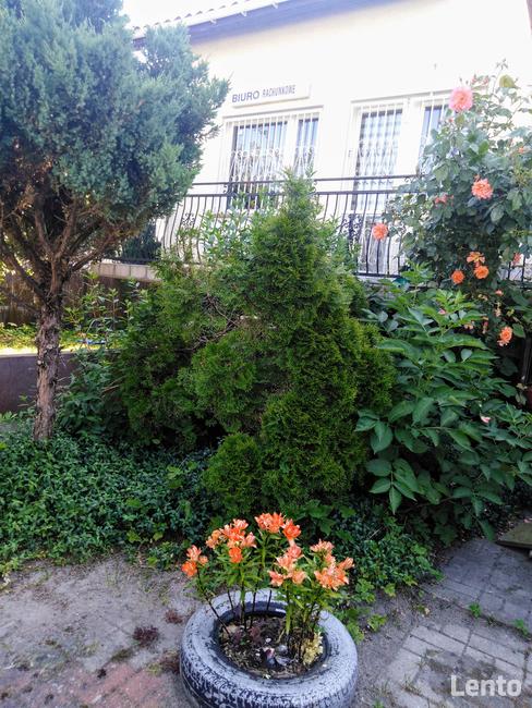 Villa Rumia pokój wynajmę