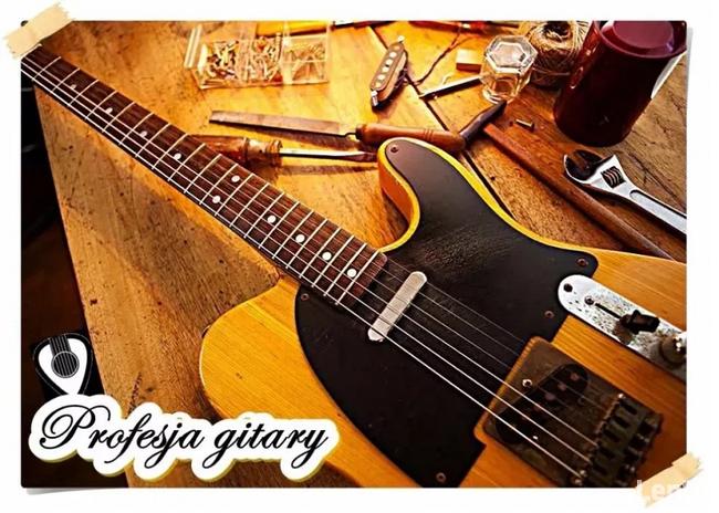 ## Lutnik / Profesjonalna pracownia lutnicza instrumentów st