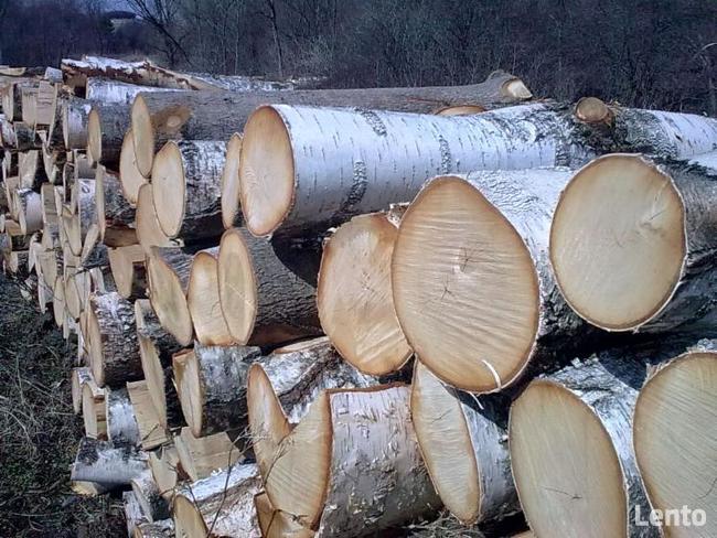 drewno kominkowe drewno opałowe czestochowa transprt gratis