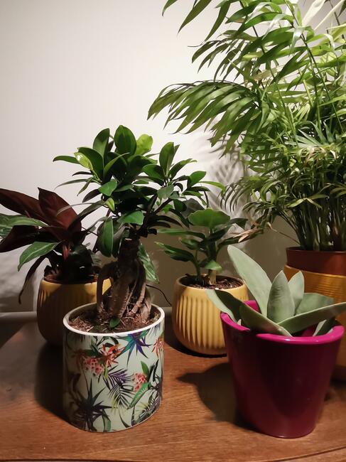 Wynajmę pokój w willi