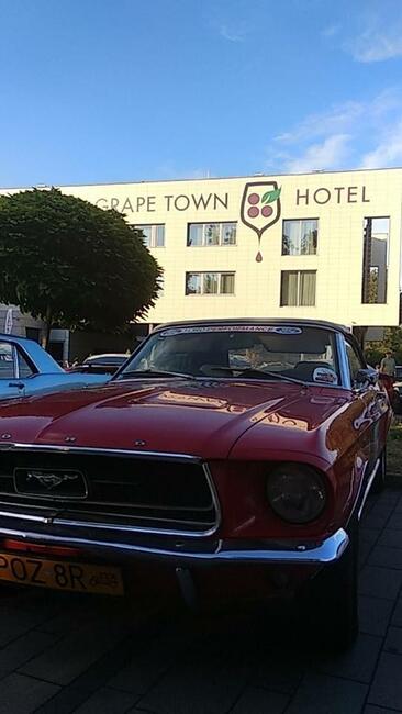 Kucharz, z-ca szefa Kuchni, Szef Kuchni