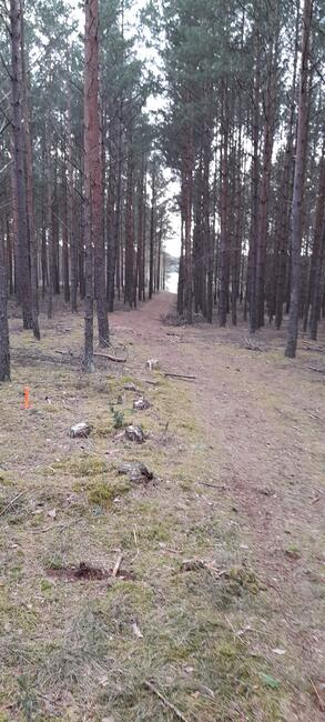 DZIAŁKA swornegacie