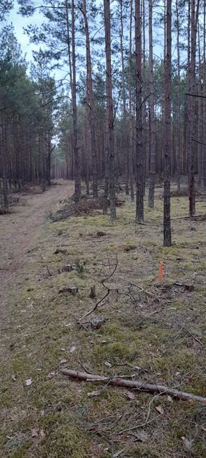 DZIAŁKA swornegacie