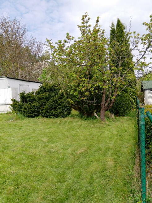 SPRZEDAM DZIAŁKĘ ROD