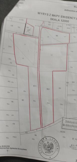 Sprzedam działkę 0,6h i 12h gruntu Rosochata dolnośląskie