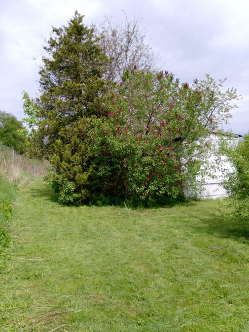 SPRZEDAM DZIAŁKĘ ROD