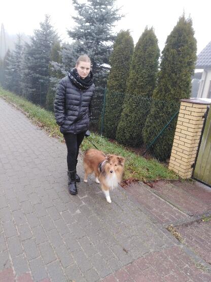 Domowy hotelik dla Twojego pieska, kota, zwierzątek klatkowych