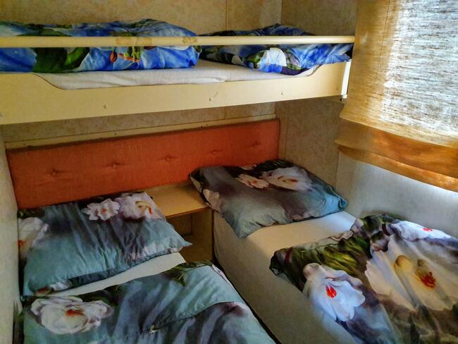 Domki holenderskie Venus do wynajecia