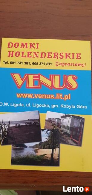 Domki holenderskie Venus do wynajecia