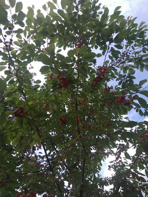 Praca dla ucznia, raczej dla młodej osoby ale niekoniecznie