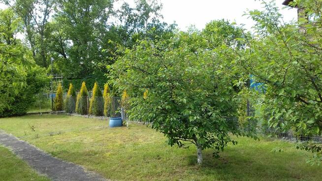 Działka ROD przy Okrężnej..