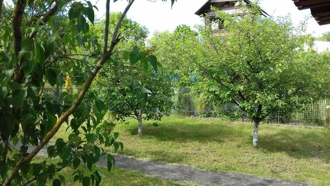 Działka ROD przy Okrężnej..