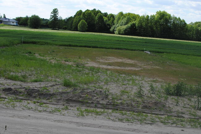 Działka budowlana jezioro Niedzięgiel 1200m2 Powidz
