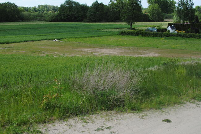 Działka budowlana jezioro Niedzięgiel 1200m2 Powidz