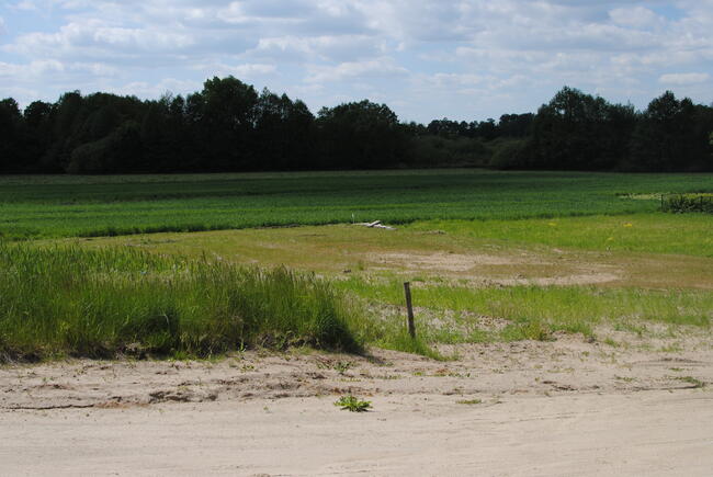 Działka budowlana jezioro Niedzięgiel 1200m2 Powidz